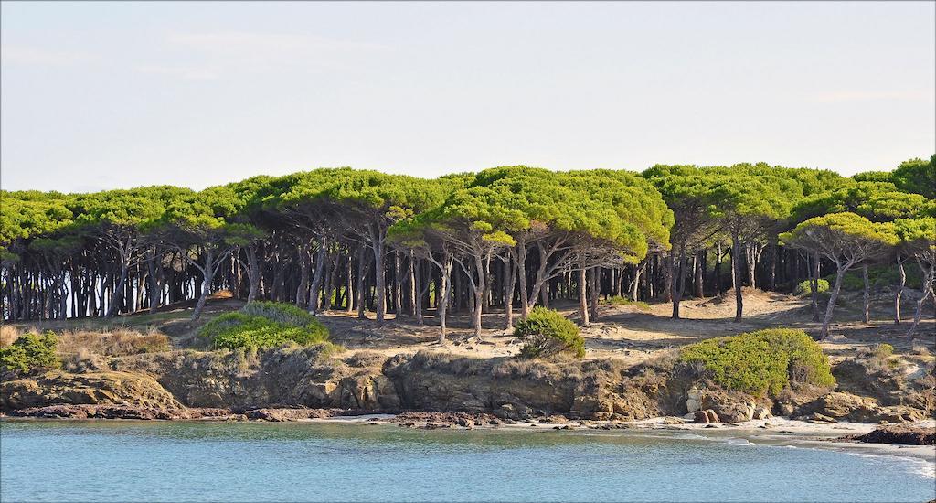 Appartamenti Tanaunella Budoni Esterno foto